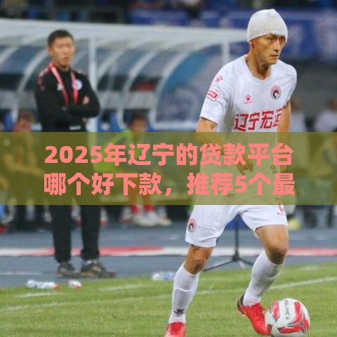 2025年辽宁的贷款平台哪个好下款，推荐5个最新14天下款的口子