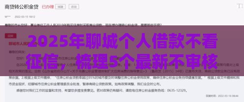 2025年聊城个人借款不看征信，梳理5个最新不审核直接放款1000的口子