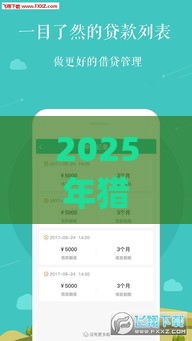 2025年猎豹vip好下款吗，分享五个最新花户可以借钱的软件