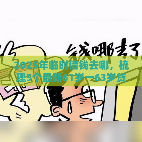 2025年临时借钱去哪，梳理5个最新61岁一63岁贷款平台