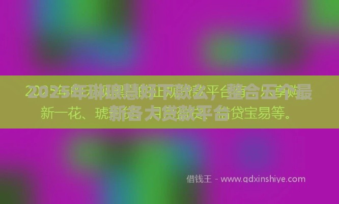 2025年琳琅慧好下款么，整合五个最新各大贷款平台