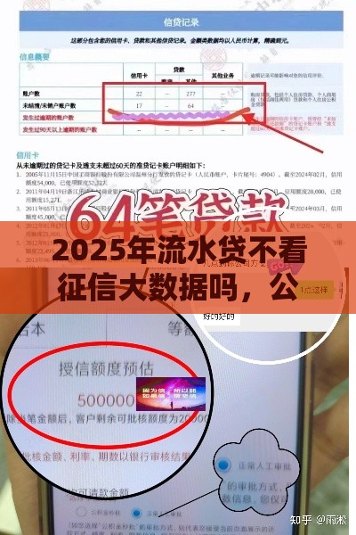 2025年流水贷不看征信大数据吗，公布5个最新好口子