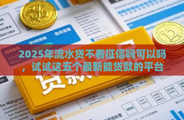 2025年流水贷不看征信吗可以吗，试试这五个最新能贷款的平台