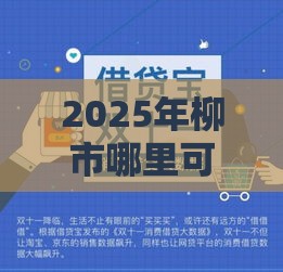 2025年柳市哪里可以贷款借钱，整理5个最新比较可靠的贷款平台