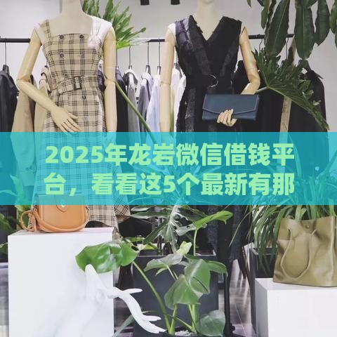 2025年龙岩微信借钱平台，看看这5个最新有那些平台可以借钱