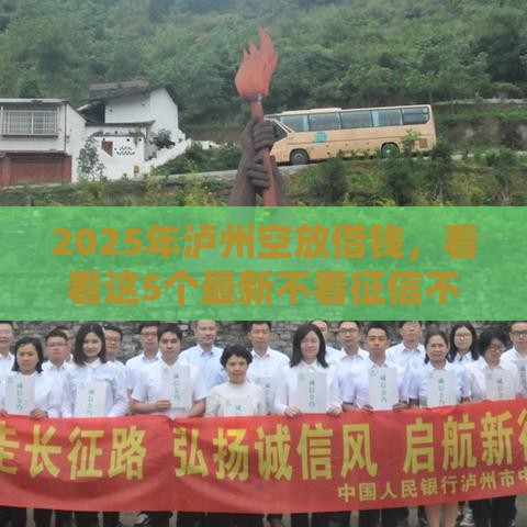 2025年泸州空放借钱，看看这5个最新不看征信不是网贷平台