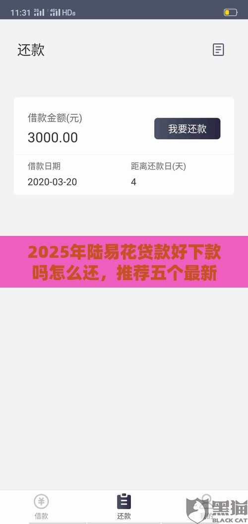2025年陆易花贷款好下款吗怎么还，推荐五个最新哪家贷款平台好