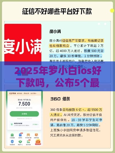 2025年罗小白ios好下款吗，公布5个最新平台贷款好通过