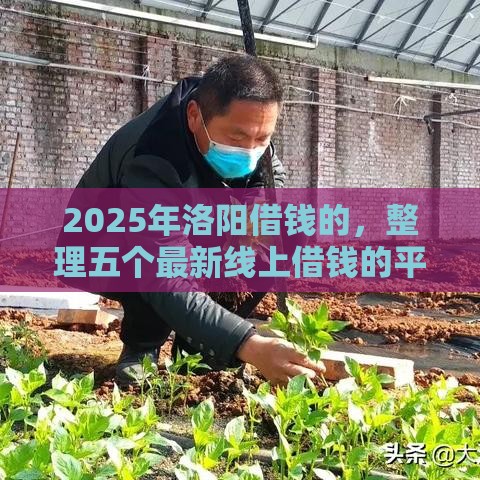 2025年洛阳借钱的，整理五个最新线上借钱的平台100%能借到