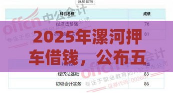 2025年漯河押车借钱，公布五个最新通过率高的网贷平台