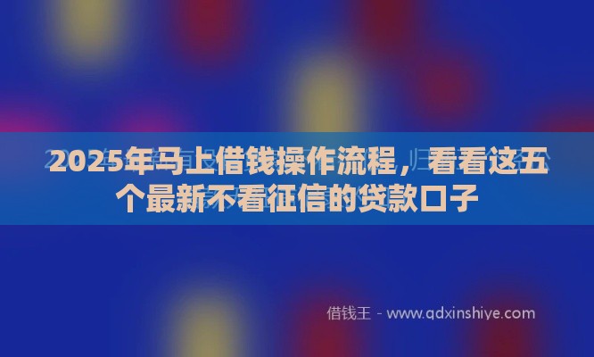2025年新的借款口子，整合5个最新征信黑户口子能贷款