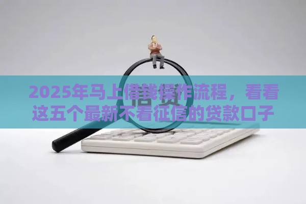 2025年马上借钱操作流程，看看这五个最新不看征信的贷款口子