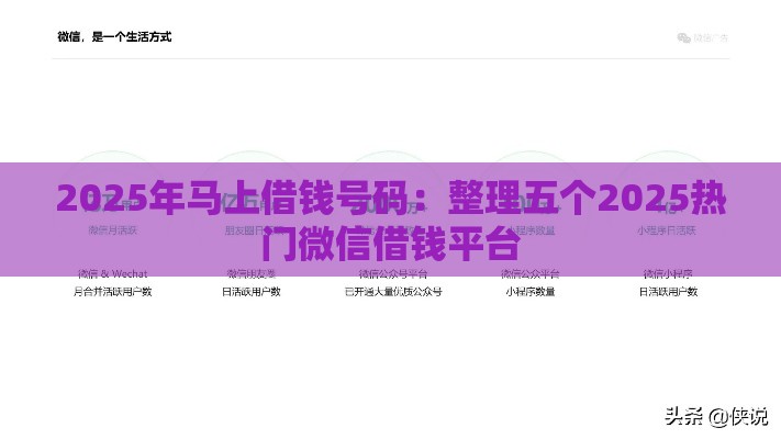 2025年马上借钱号码：整理五个2025热门微信借钱平台