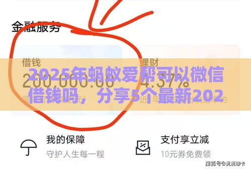 2025年蚂蚁爱帮可以微信借钱吗，分享5个最新2025花户风控必过的口子论坛