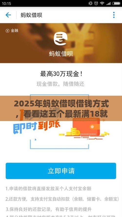2025年蚂蚁借呗借钱方式，看看这五个最新满18就可以贷款的平台