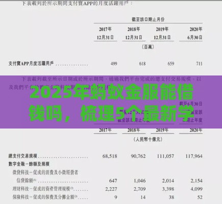 2025年蚂蚁金服能借钱吗，梳理5个最新学生能贷款的平台