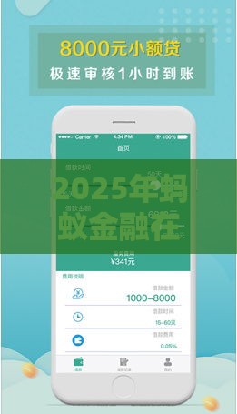 2025年蚂蚁金融在哪借钱，整理五个最新容易通过的贷款平台