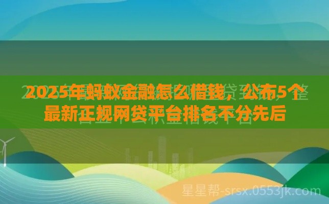2025年蚂蚁金融怎么借钱，公布5个最新正规网贷平台排名不分先后