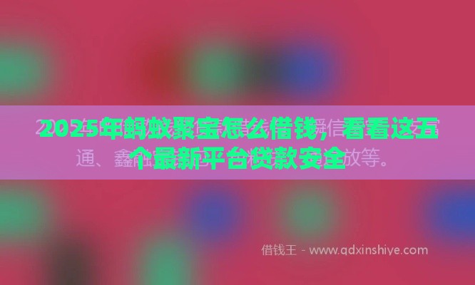 2025年蚂蚁聚宝怎么借钱，看看这五个最新平台贷款安全