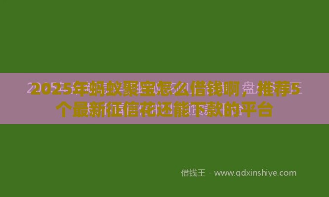 2025年蚂蚁聚宝怎么借钱啊，推荐5个最新征信花还能下款的平台
