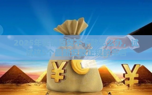 2025年买铺面贷不下款怎么办，试试这5个最新贷款正规的平台