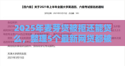 2025年麦芽贷被拒还能贷么，整理5个最新网贷都被拒绝了还有什么口子
