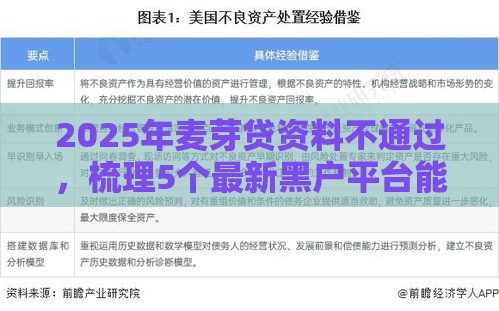 2025年麦芽贷资料不通过，梳理5个最新黑户平台能借款