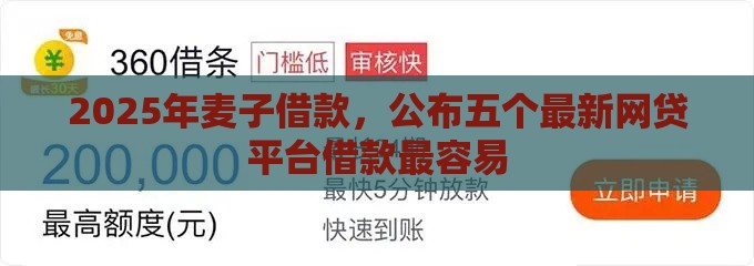 2025年麦子借款，公布五个最新网贷平台借款最容易