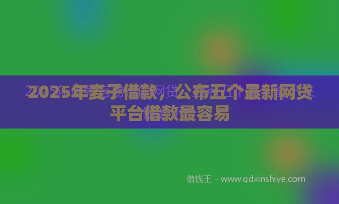 2025年麦子借款，公布五个最新网贷平台借款最容易