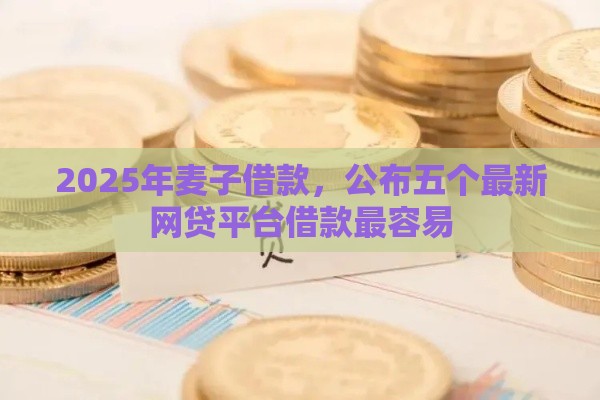 2025年麦子借款，公布五个最新网贷平台借款最容易