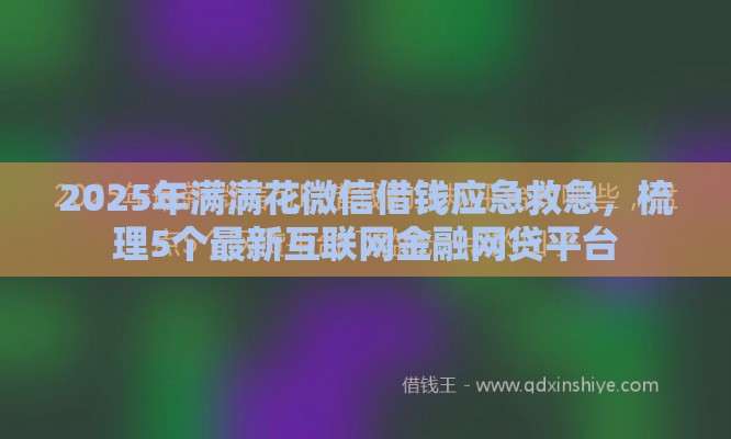 2025年满满花微信借钱应急救急，梳理5个最新互联网金融网贷平台