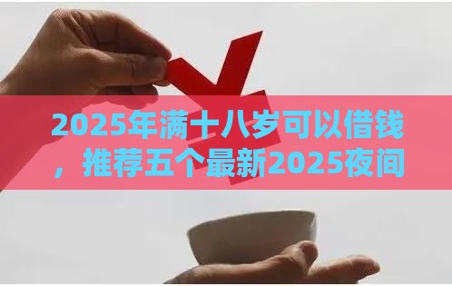 2025年满十八岁可以借钱，推荐五个最新2025夜间秒下款高炮口子