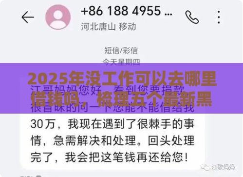 2025年没工作可以去哪里借钱吗，梳理五个最新黑网贷口子大全