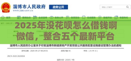 2025年没花呗怎么借钱啊微信，整合五个最新平台黑户可以下款的那种