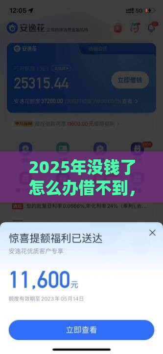 2025年没钱了怎么办借不到，整合5个最新汽车网贷平台