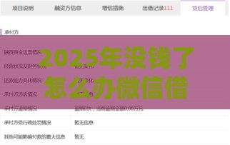 2025年没钱了怎么办微信借钱，公布5个最新不看征信的借款平台百分百