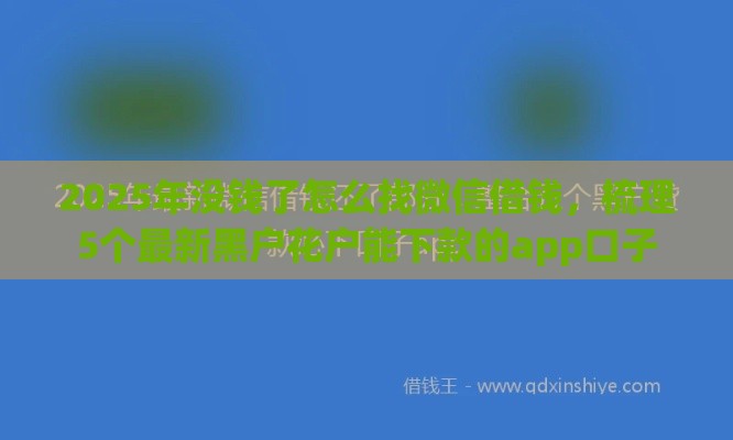 2025年没钱了怎么找微信借钱，梳理5个最新黑户花户能下款的app口子