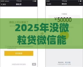 2025年没微粒贷微信能借钱吗，看看这5个最新什么贷款不上征信平台