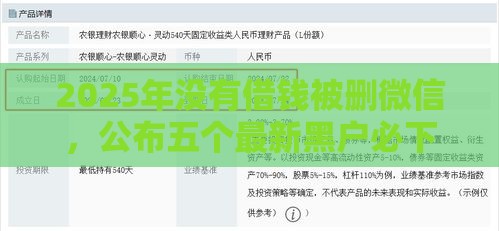 2025年没有借钱被删微信，公布五个最新黑户必下的口子