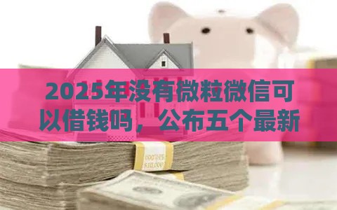 2025年没有微粒微信可以借钱吗，公布五个最新最好的借钱平台