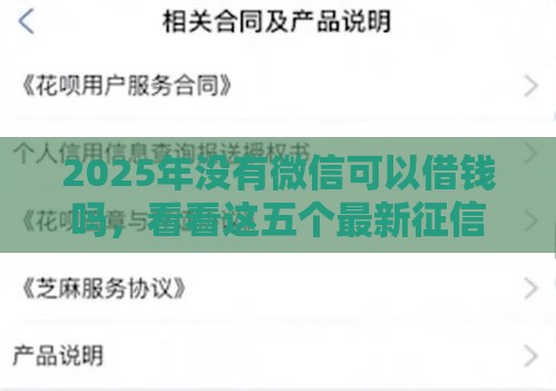 2025年没有微信可以借钱吗，看看这五个最新征信不良的黑户在平台可以借款