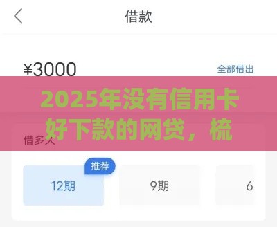2025年没有信用卡好下款的网贷，梳理五个最新黑口子必下款app2023