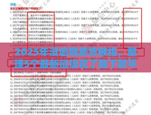 2025年没逾期房贷被拒，整理5个最新征信花了能下款平台