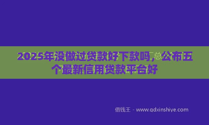 2025年没做过贷款好下款吗，公布五个最新信用贷款平台好