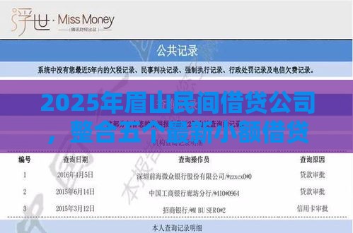2025年眉山民间借贷公司，整合五个最新小额借贷不看征信的平台