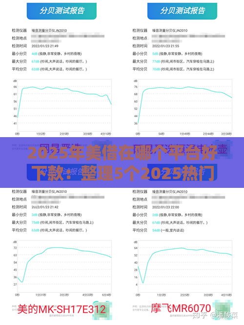 2025年美借在哪个平台好下款：整理5个2025热门银闪花一样的短期平台