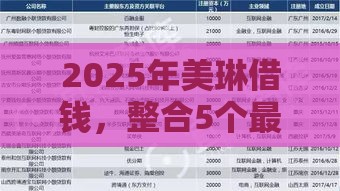 2025年美琳借钱，整合5个最新互联网金融网贷平台