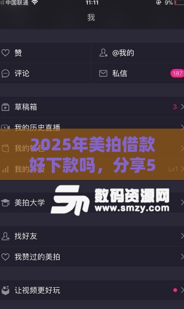 2025年美拍借款好下款吗，分享5个最新应急贷款平台