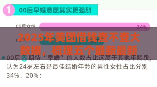 2025年美团借钱查不查大数据，梳理五个最新最新借钱的平台100%能借到