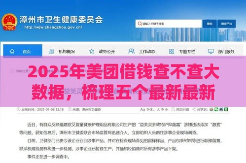 2025年美团借钱查不查大数据，梳理五个最新最新借钱的平台100%能借到